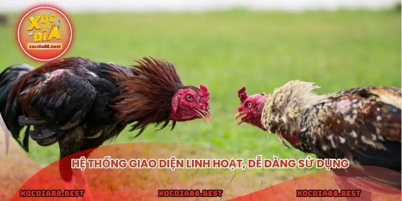 Hệ thống giao diện linh hoạt, dễ dàng sử dụng
