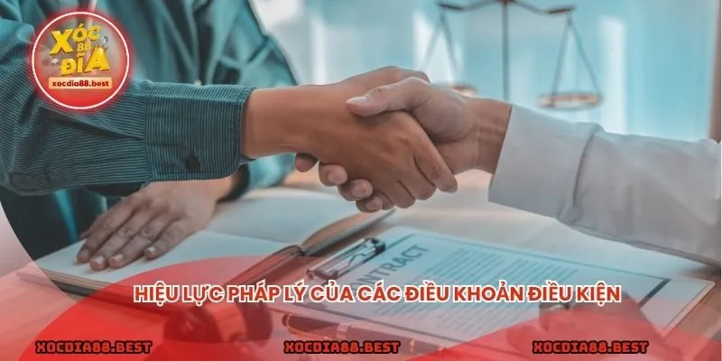 Hiệu lực pháp lý của các điều khoản điều kiện