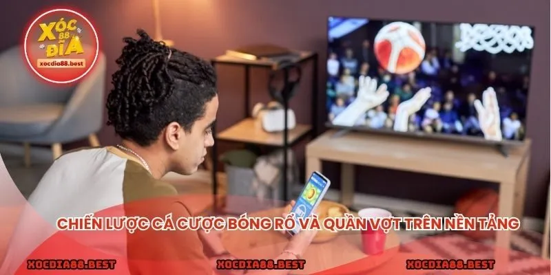Chiến lược cá cược bóng rổ và quần vợt trên nền tảng