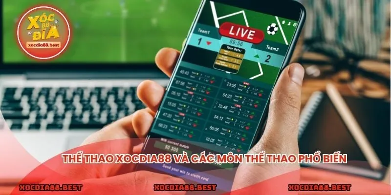 Thể thao xocdia88 và các môn thể thao phổ biến